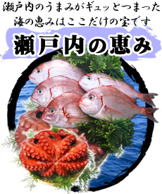 瀬戸内の恵み